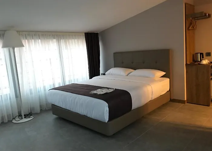 Jurnal فندق اسطنبول